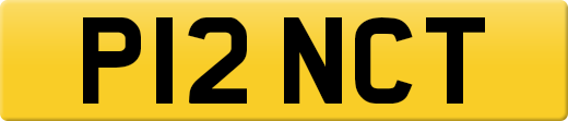 P12NCT